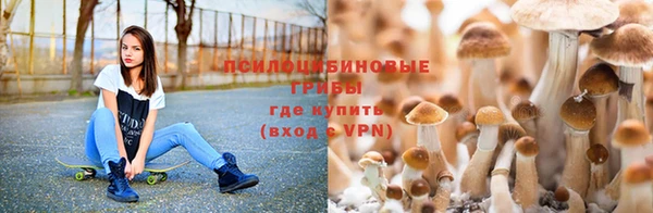 меф VHQ Бородино